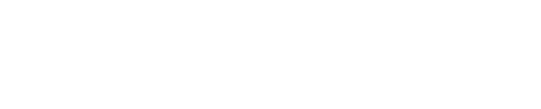 Construction Futures NI